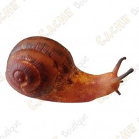 Cache "Bestiole" - Escargot