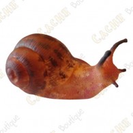 Cache "insect" - Snail