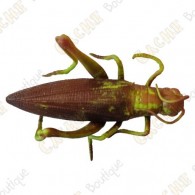 Cache "insect" - Grasshopper